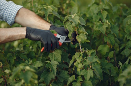 Gartenarbeit